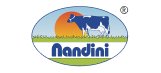 nandini